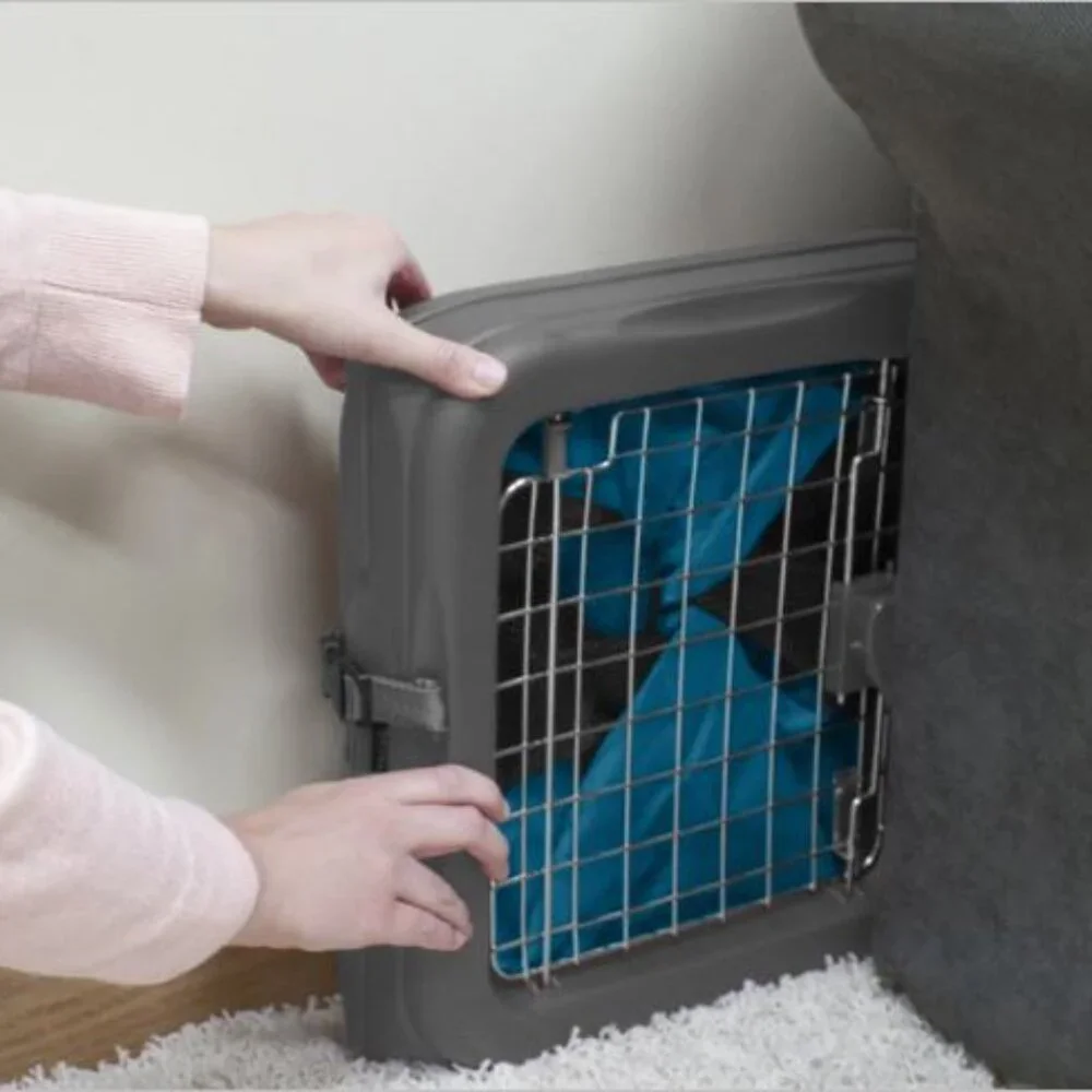 Vibrant Life pop up Kennel